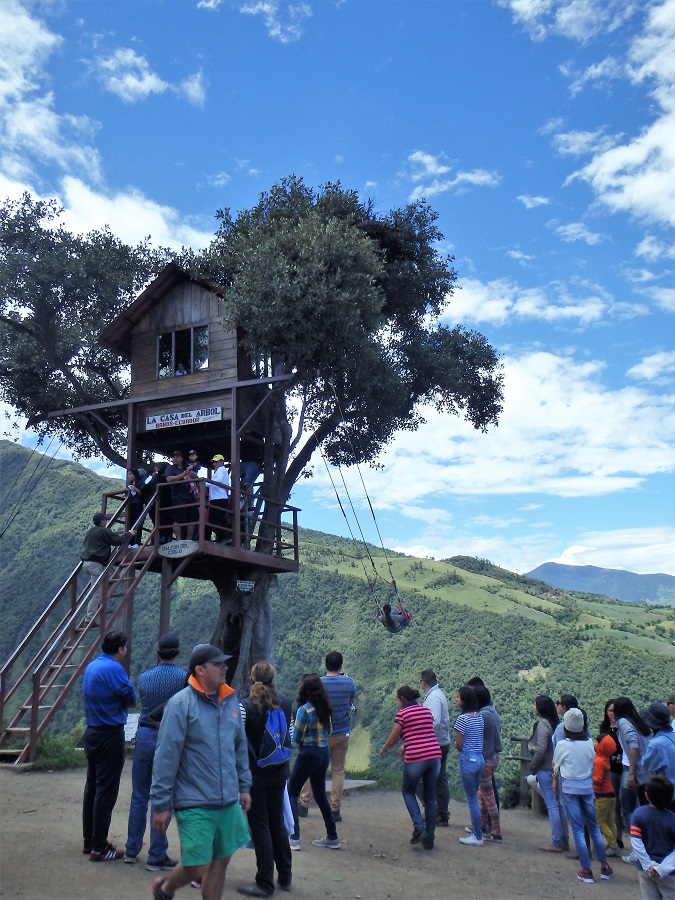 An encompassing view of the tree house and two swings